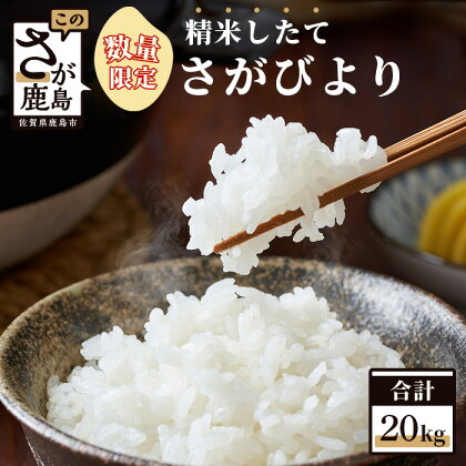 【数量限定】令和5年産 お米マイスターセレクト！ 佐賀県 鹿島市産 さがびより 白米 20kg 米 お米 九州 精米 国産 九州産 鹿島市 送料無料 D-105