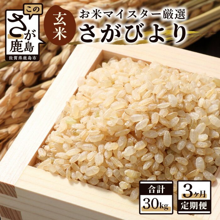 [3ヶ月定期便]鹿島市産 さがびより 玄米 10kg×3回 定期便 3か月 合計30kg 合計3回発送 お米 九州 米 国産 九州産 佐賀県 鹿島市 送料無料