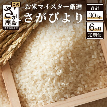 【定期便】鹿島市産 さがびより 白米 お米 5kg × 6回 計30kg |ふるさと納税 米 定期 お米 新米 精米 国産 佐賀県 鹿島市 ふるさと 人気 送料無料 F-28