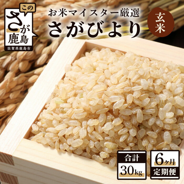 【ふるさと納税】【6ヶ月定期便】鹿島市産 さがびより 玄米 5kg×6回 定期便 6か月 合計30kg 合計6回発送 お米 九州 米 国産 九州産 佐賀県 鹿島市 送料無料 F-29