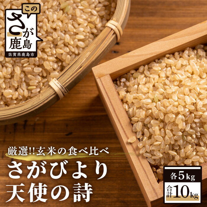 【ふるさと納税】米 さがびより 天使の詩 食べ比べ セット 玄米 5kg × 2種 計10kg | ふるさと納税 米 お米 新米 玄米 国産 佐賀県 鹿島市 ふるさと 人気 送料無料 C-15