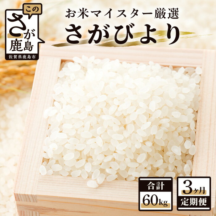 【ふるさと納税】【3ヶ月定期便】鹿島市産 さがびより 白米 20kg (10kg×2袋) ×3回 定期便 3か月 合計60kg 合計3回発送 お米 米 精米 国産 九州産 佐賀県 鹿島市 送料無料 J-10