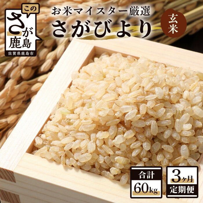 【ふるさと納税】【3ヶ月定期便】鹿島市産 さがびより 玄米 20kg×3回 定期便 3か月 合計60kg 合計3回発送 お米 九州 米 国産 九州産 佐賀県 鹿島市 送料無料 J-11
