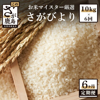 【定期便】鹿島市産 さがびより 白米 お米 10kg × 6回 計60kg | ふるさと納税 定期 米 お米 新米 精米 国産 佐賀県 鹿島市 ふるさと 人気 送料無料 J-3