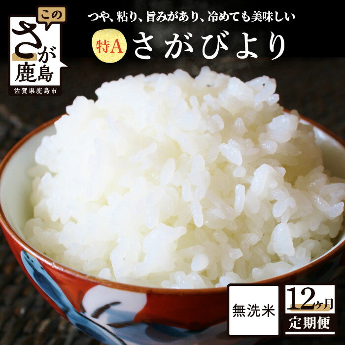 【ふるさと納税】【定期便】お米 マイスター セレクト 無洗米 さがびより 白米 10kg × 12回 計120kg | 20kg × 6回 計120kg | ふるさと納税 米 定期 お米 新米 精米 国産 佐賀県 鹿島市 ふるさと 人気 送料無料 N-14のサムネイル