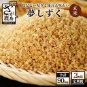 【ふるさと納税】【3か月定期便】鹿島市産 夢しずく 玄米 30kg×3回 合計90kg 定期便 3回発送 毎月1回 令和4年産 米 お米 国産 九州産 鹿島市 送料無料 N-7