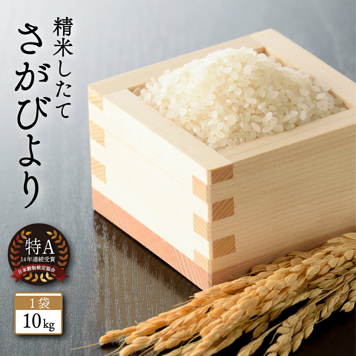 【ふるさと納税】【令和5年産】 さがびより 白米 10kg 