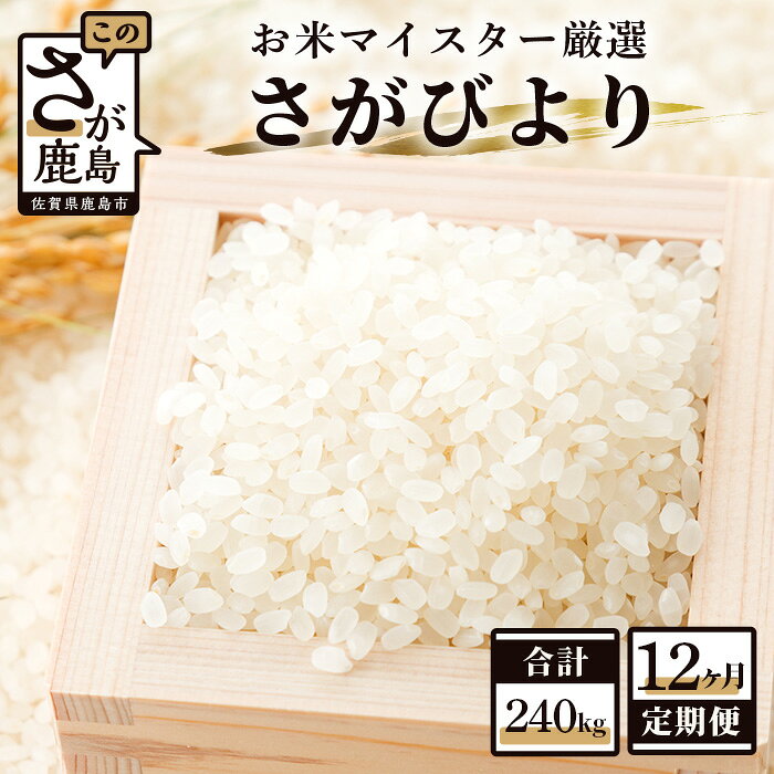 【ふるさと納税】【12ヶ月定期便】鹿島市産 さがびより 白米（20kg×12回） 合計240kg 定期便 12回発送 12か月 お米 九州 米 精米 国産 九州産 佐賀県 鹿島市 送料無料 V-11 f412074-kashima-10000347 佐賀県鹿島市 パッケージ画像