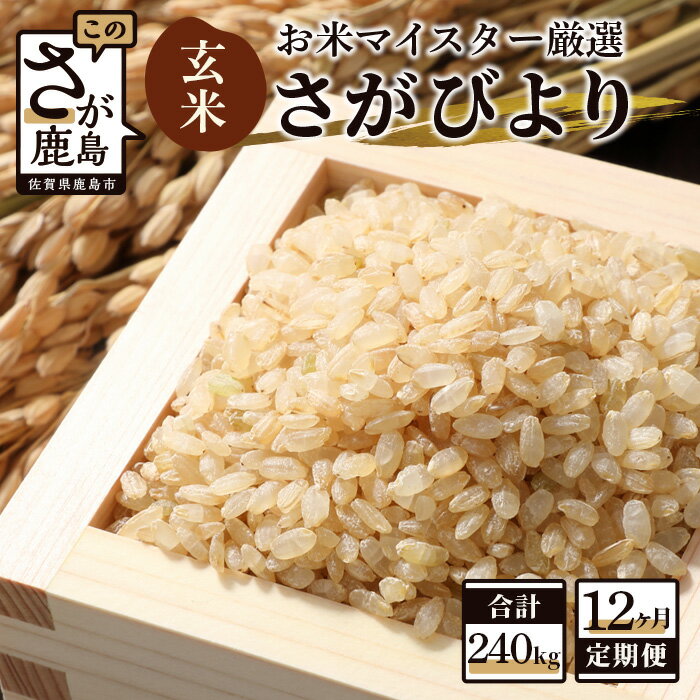 【ふるさと納税】【12ヶ月定期便】鹿島市産 さがびより 玄米 20kg（10kg×2袋）×12回 合計240kg 定期便 12回発送 12か月 お米 米 国産 九州産 佐賀県 鹿島市 送料無料 V-12