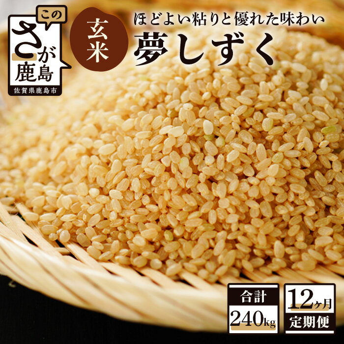 【ふるさと納税】【12か月定期便】鹿島市産 夢しずく 玄米 20kg×12回 合計240kg 定期便 12回発送 毎月1回 米 お米 九州 令和5年産 国産 九州産 鹿島市 送料無料 V-14