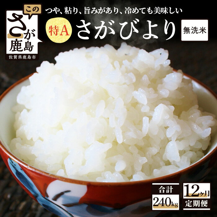 定期便 12回 お米マイスターセレクト! 無洗米 さがびより 白米 20kg×12回 定期便 (佐賀県産) 12か月 乾式無洗米 米 お米 精米 国産 九州産 佐賀県 鹿島市 送料無料 V-36 合計240kg