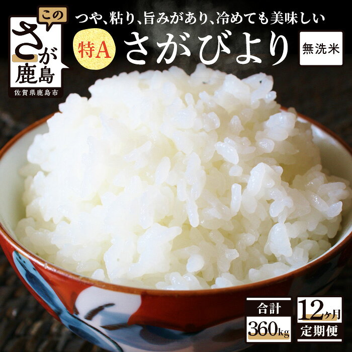 【ふるさと納税】【定期便】お米 マイスター セレクト 無洗米 さがびより 白米 30kg × 12回 計360kg |ふるさと納税 米 定期 お米 新米 精米 国産 佐賀県 鹿島市 ふるさと 人気 送料無料 V-37
