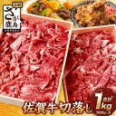 【ふるさと納税】【発送時期が選べる】佐賀牛 切り落とし 500g×2【合計1kg】D-186 お祝い ...