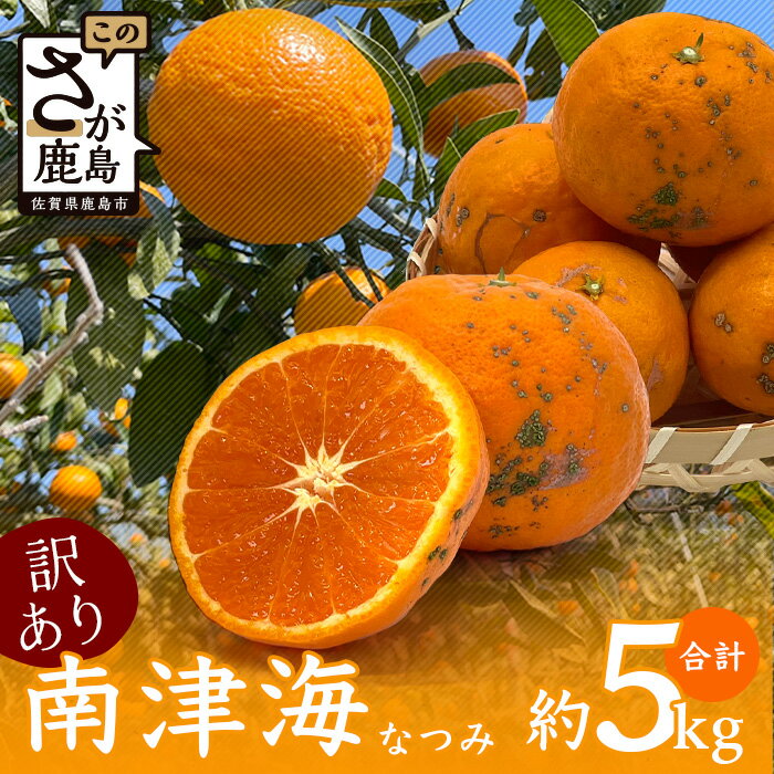 生産者応援《訳あり》南津海 なつみ 5kg キズあり みかん ミカン 柑橘 希少 期間限定 果物 フルーツ 佐賀県 鹿島市 国産 送料無料 【2026年5月頃から発送】 B-484