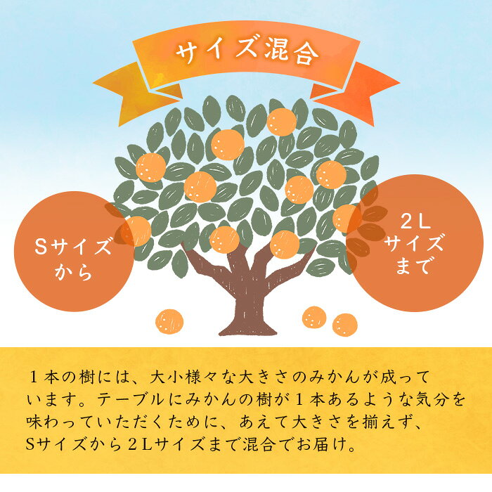 【ふるさと納税】鹿島市産　まるな柑橘園の温州みかん 毎週1回・全4回お届け 定期便 | 期間限定 果物 フルーツ 佐賀県 鹿島市 国産 送料無料 F-62 f412074-kashima-10001747 佐賀県鹿島市 サンプル画像3
