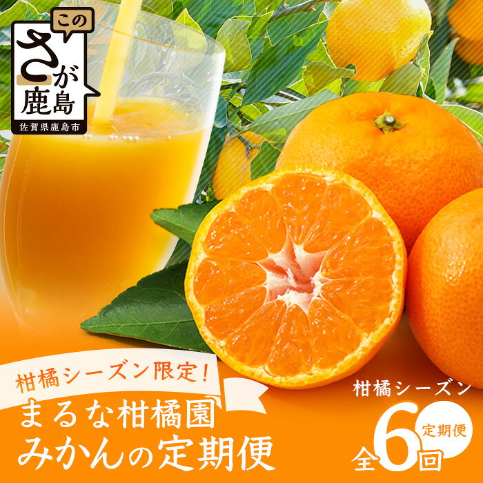 【ふるさと納税】柑橘シーズン限定！　みかん定期便 全6回｜温州みかん4回＋みかんジュース＋南津海｜まるな柑橘園 期間限定 果物 フルーツ 佐賀県 鹿島市 国産 送料無料 I-34