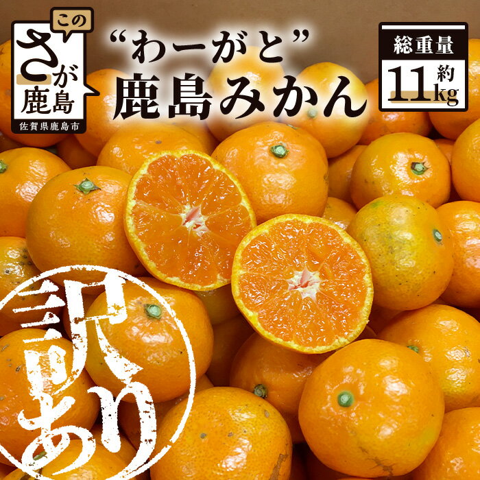 【ふるさと納税】【訳あり】わーがと 鹿島産 みかん がばい 傷アリ 蜜柑 11kg | ふるさと納税 みかん 蜜柑 柑橘 果物 フルーツ 果実 国産 佐賀県 鹿島市 ふるさと 人気 送料無料 A-90