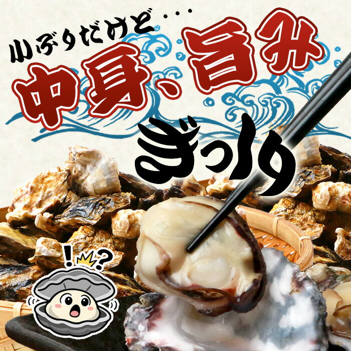 【ふるさと納税】年内配送！有明海産 養殖牡蠣（選べる容量1kg～3kg）冬季限定｜殻付き生牡蠣｜加熱調理用｜新鮮 佐賀県産 カキ【レンジで簡単調理】お正月 夕食 おつまみ おかず 佐賀県 鹿島市 人気 B-567