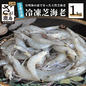 【ふるさと納税】《予約受付》芝エビ（真エビ） 1kg 有明海産 急速冷凍 活き締め 芝海老 えび 海老 佐賀 グルメ 佐賀県 鹿島市 国産 九州 送料無料 【2022年11月末頃から順次発送】 AA-9