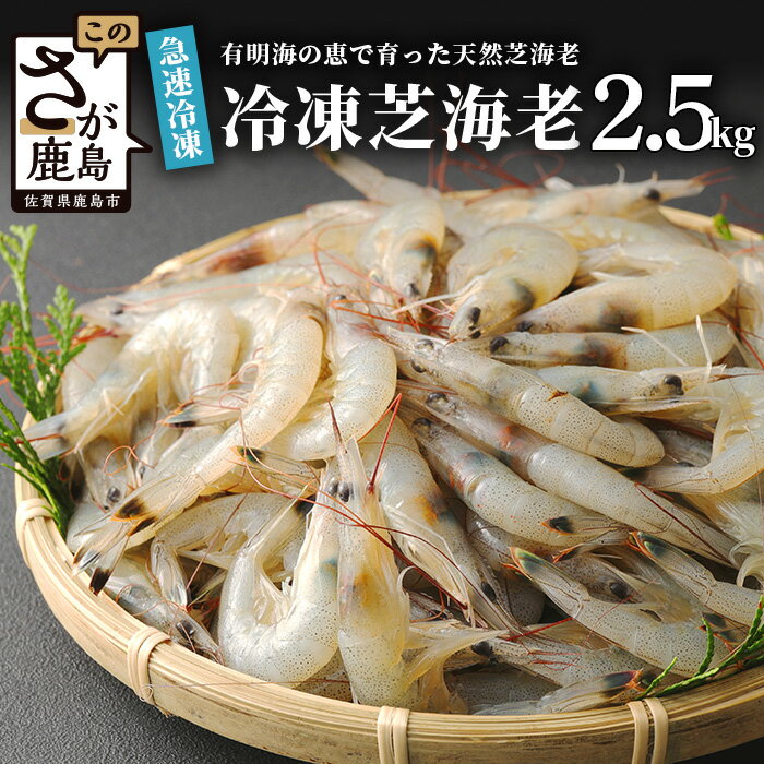 【ふるさと納税】【緊急支援品】有明海産 芝エビ 真エビ 2.5kg (500g×5パック) | ふるさと納税 えび ...