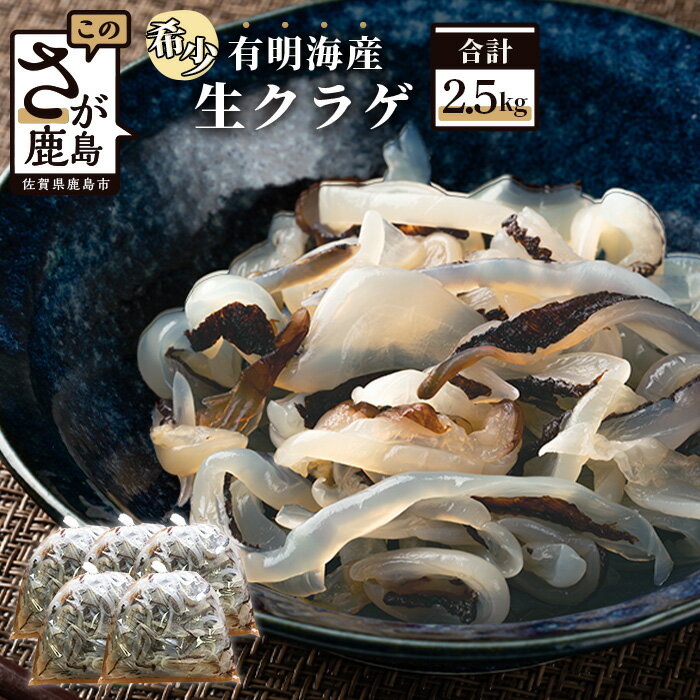 【ふるさと納税】【緊急支援品】有明海産 生くらげ 2.5kg 500g×5袋 お刺身くらげ 中華くら ...