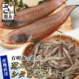 【ふるさと納税】【緊急支援品】冷凍芝エビ（真エビ）1kg（500g×2パック）＆有明海産 シタビラメ約150g×2尾【有明海の恵】簡単調理 セット B-569