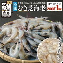 【ふるさと納税】小分け&むき身で嬉しい!有明海産 芝海老 【冷凍むき身 100g×2・5・10パック】|海老 エビ 剥き 真海老 国産 加熱用 使い切り 水洗い...