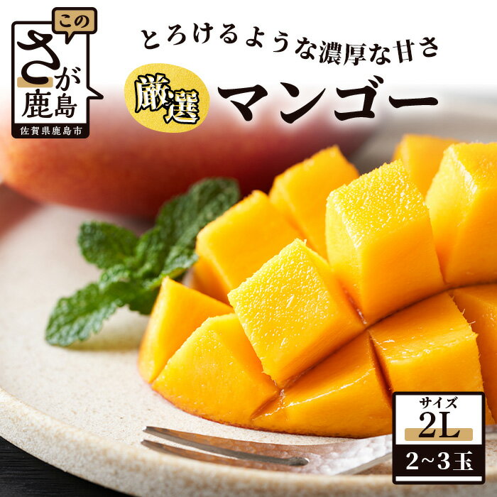 ڤդ뤵Ǽǡǻ!ޤä  ޥ󥴡 15ٰʾ 23 800g1kg L2L åץޥ󥴡...