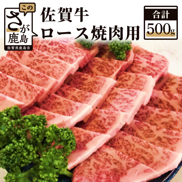 佐賀牛 ロース 焼肉用 500g 和牛 肉 佐賀 牛肉 佐賀県 鹿島市 冷凍 送料無料