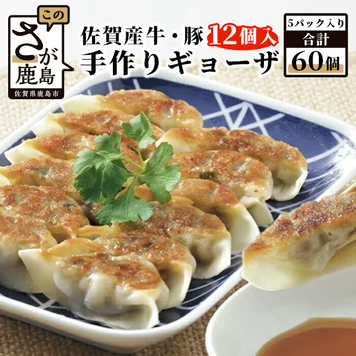 佐賀産牛 佐賀産豚の手作りギョーザ 12ケ入り×5パック 合計60個 冷凍 餃子 ぎょうざ 佐賀県 鹿島市 送料無料 B-86