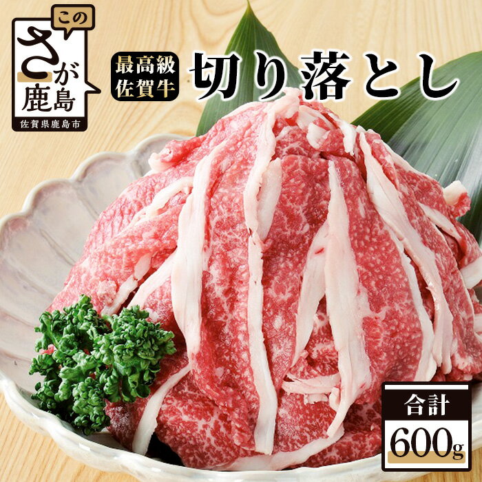 【ふるさと納税】最高級ブランド 佐賀牛 切落し 600g 佐賀 牛肉 牛 肉 佐賀産 佐賀県 鹿島市 冷凍 送料無料 B-105