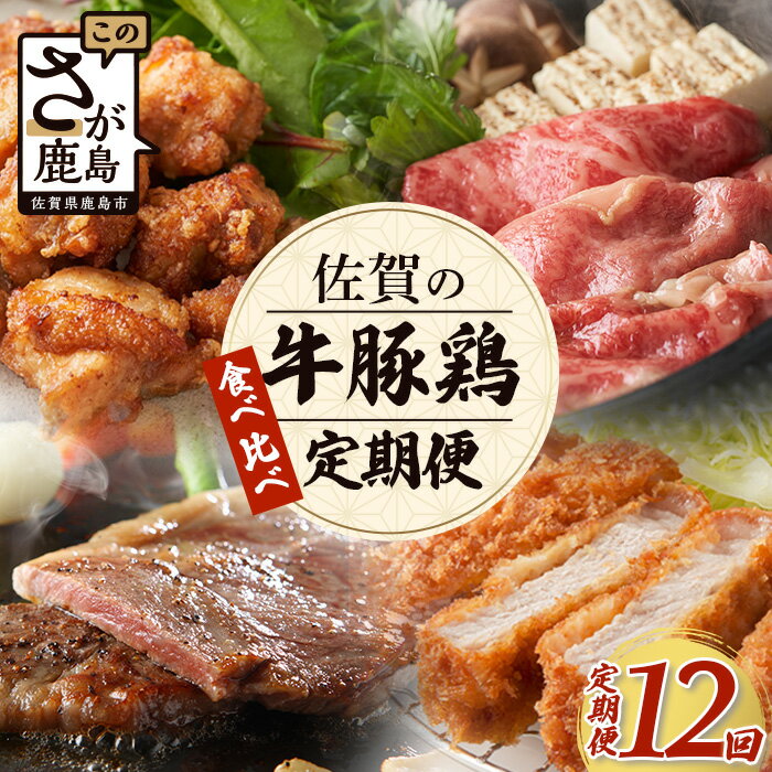 肉セット 【ふるさと納税】【定期便12回】佐賀の「牛・豚・鶏」食べ比べ 定期便 12ヶ月 12ヵ月 佐賀牛 ありた鶏 佐賀県産豚肉 焼き肉 焼肉 しゃぶしゃぶ ステーキ バラエティ P-9 野菜炒め BBQ キャンプ 豚丼 鶏肉 とりにく 鳥肉 もも むね ささみ モモ ムネ ササミ ありた鶏