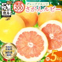 【ふるさと納税】数量限定★日本初!幻の国産グレープフルーツ!【さがんルビー 5kg(中玉12〜16個)】ジューシー柑橘|柑橘 果物 フルーツ 佐賀県鹿島市産・農...
