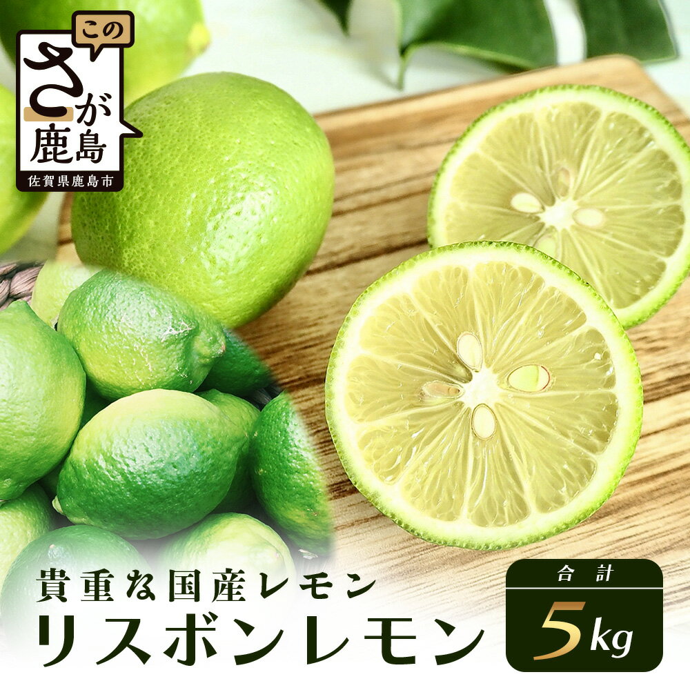 【ふるさと納税】リスボンレモン【約5kg】メディアも注目の柑橘類の名人直送!レモン れもん 檸檬 果物 生搾り 料理 菓子 サワー お酒 国産 佐賀県鹿島市産 ...