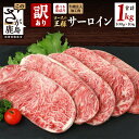 10位! 口コミ数「29件」評価「3.62」【訳あり】牛 サーロインステーキ 計1kg (100g×10枚) インジェクション加工 | ふるさと納税 ステーキ 牛肉 牛 サーロイン ス･･･ 