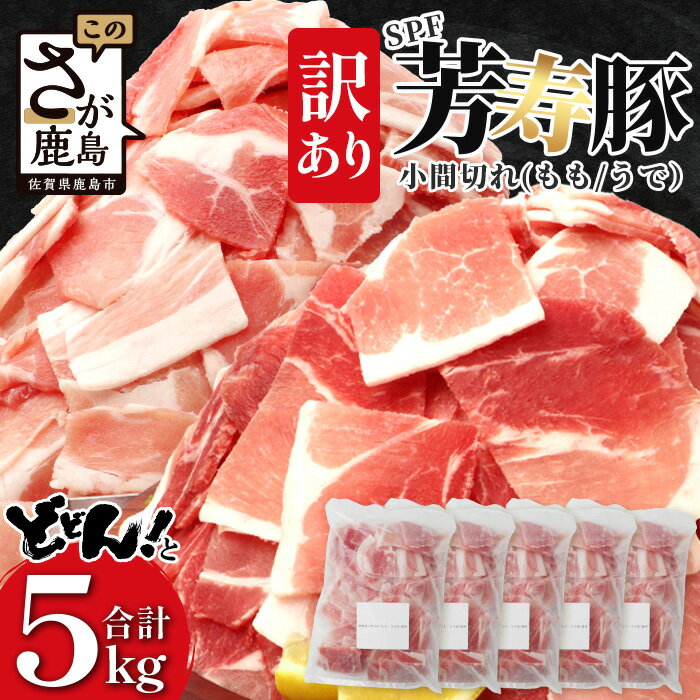 訳あり[発送時期が選べる]SPF芳寿豚 小間切れ大容量満足セット1kg×5袋[合計5kg][業務用サイズでボリューム重視の方におすすめ][料理に便利]