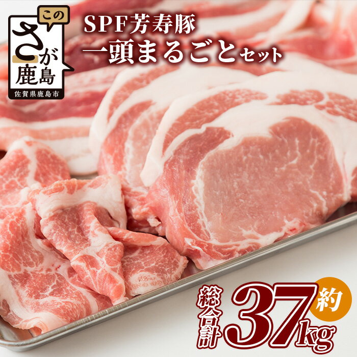 【ふるさと納税】【総重量 約37kg】SPF芳寿豚1頭まるごとセット(分割発送可能)【用途はあなた次第!! 贅沢にまるまる1頭味わい尽くしちゃってください!!】X-2