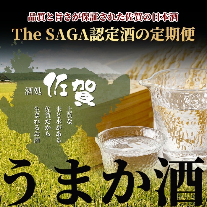 【ふるさと納税】【定期便】【6ヶ月】TheSA...の紹介画像2