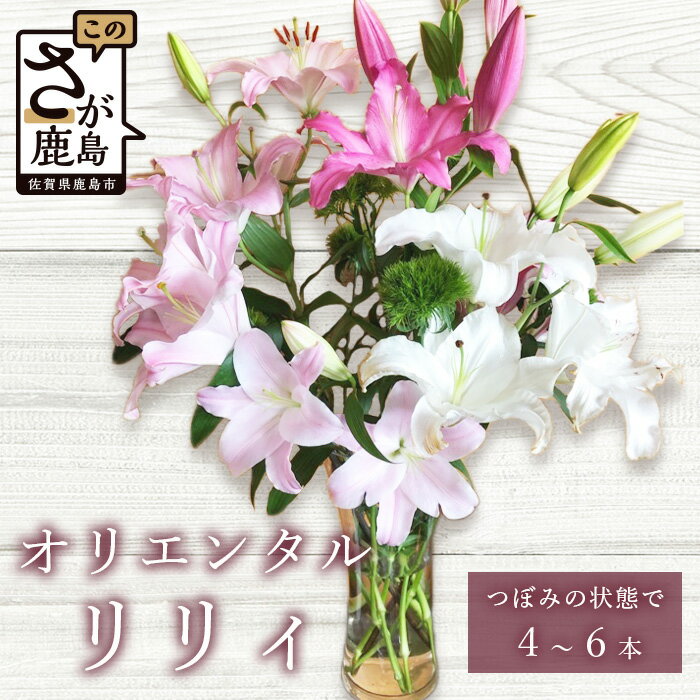 花・観葉植物人気ランク14位　口コミ数「4件」評価「5」「【ふるさと納税】【生産者直送】幸せと笑顔を届けるオリエンタルリリィ ユリ 百合 花 切り花 フラワー 佐賀県 鹿島市 送料無料 B-313」