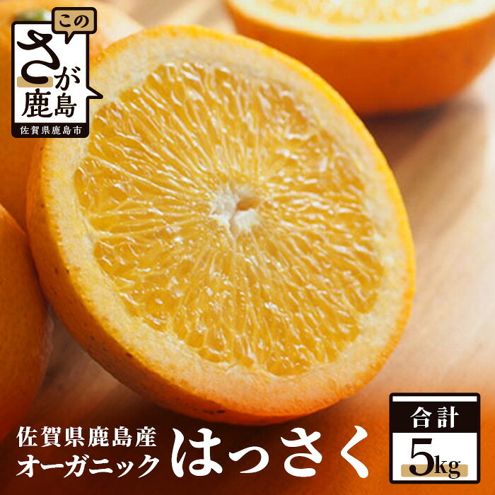 オーガニック はっさく 5kg 八朔 柑橘 果物 フルーツ 国産 有機栽培 鹿島市産 佐賀県 鹿島市 送料無料 B-75