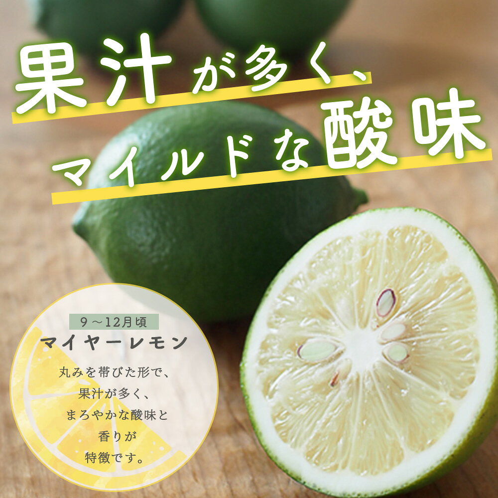 【ふるさと納税】オーガニック レモン【 2.5kg】レモン 檸檬 れもん 宝韶寿レモン 料理 菓子 お酒 生搾り サワー 薬味 安心安全 佐賀県 鹿島市 ふるさと 人気 送料無料 B-91 f412074-kashima-10000256 佐賀県鹿島市 サンプル画像2