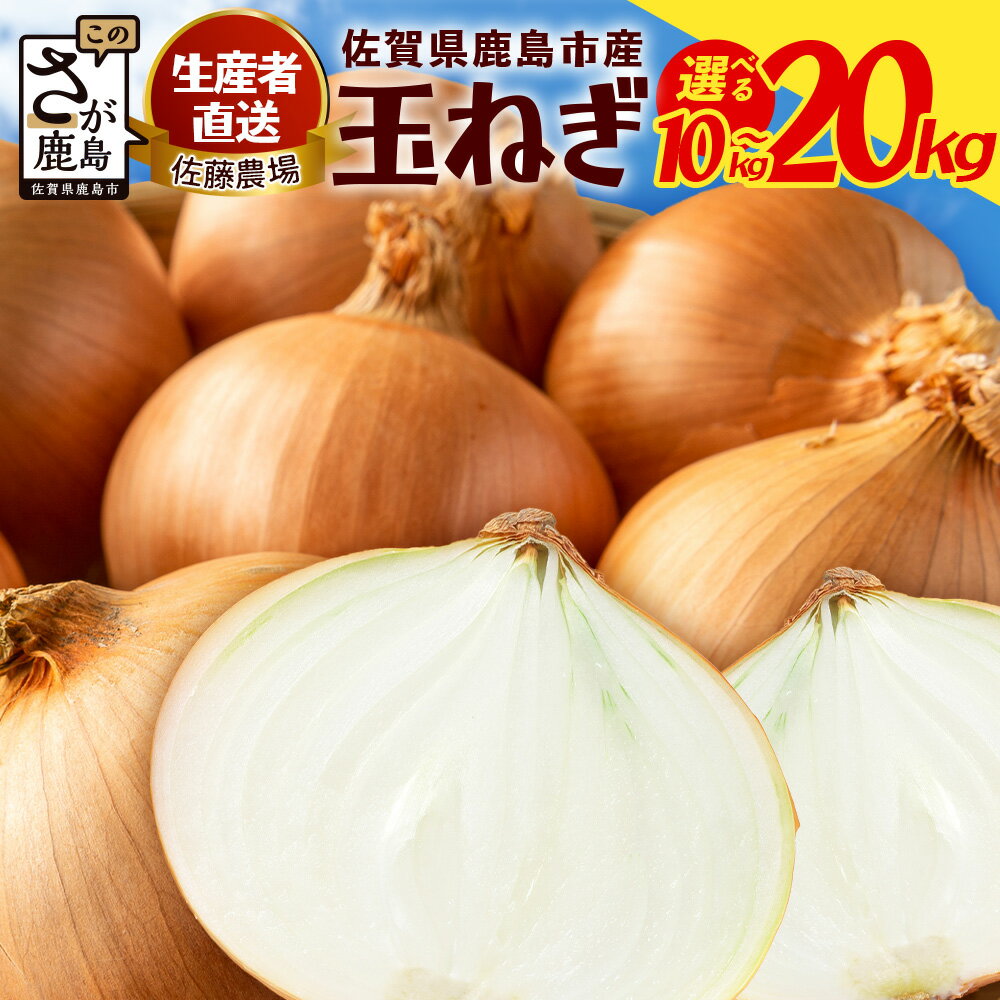 [7月下旬まで順次発送]玉ねぎ 10kg 20kg ＼生産者直送/佐藤農場が育てた鹿島市産玉ねぎ| 産地直送 新鮮 野菜 大容量 国産 玉葱 たまねぎ 送料無料
