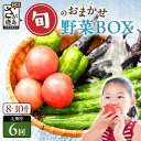 【ふるさと納税】★レビューキャンペーン【選べるサイクル】野菜 定期便 6回 旬のおまかせ野菜BOX 6ヶ月 8~10品目 | ふるさと納税 野菜 定期便 定期 ...