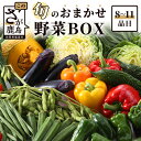 【ふるさと納税】 野菜 定番 旬の おまかせ 野菜 BOX 8~11品目｜ふるさと納税 野菜 セット ...