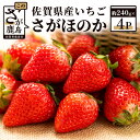 【ふるさと納税】【予約受付】佐賀県産 さがほのか 計960g （約240g×4パック） いちご イチ ...