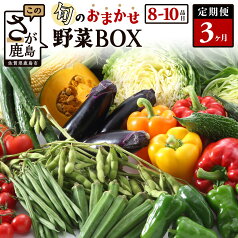 【ふるさと納税】【定期便】 野菜 定期便 旬の おまかせ 野菜 BOX 3回 8~10品目 | ふるさと納税 野菜 定期便 定期 やさい 野菜 セット 詰め合わせ 旬 新鮮 産地直送 大容量 ふるさと 佐賀県 鹿島市 安全安心 リピーター オススメ 大自然 人気 送料無料 C-47