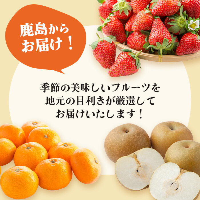 【ふるさと納税】【定期便 3回】旬の時期に届く フルーツ 定期便 3か月 いちご 960g 梨 5kg みかん 5kg 【2024年2月頃よりお届け】｜ ふるさと納税 フルーツ 果物 定期便 定期 いちごさん 秋月 佐賀美人 くだもの バラエティ セット 佐賀県 鹿島市 送料無料 人気 E-132