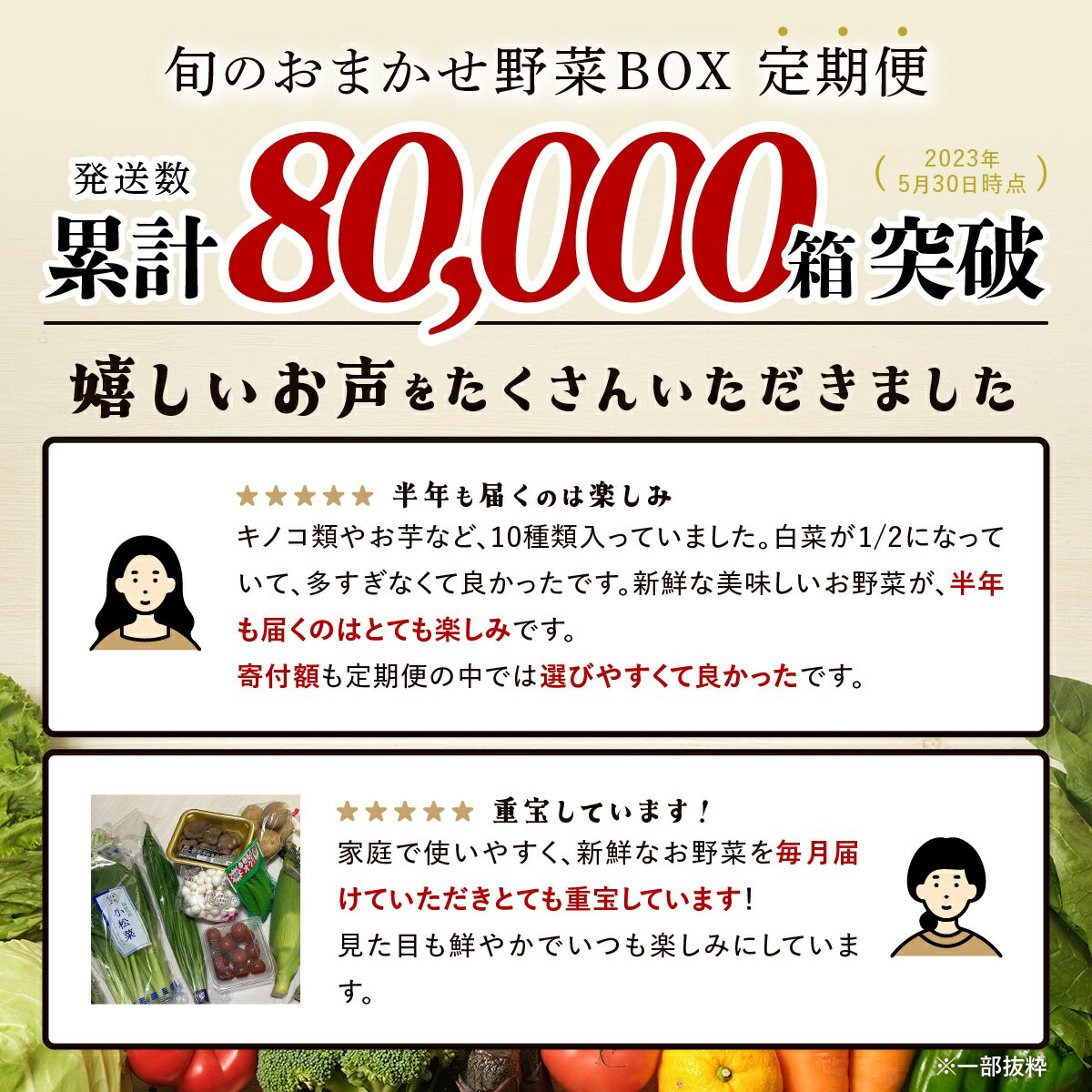 【ふるさと納税】【定期便】 野菜 定期便 旬の おまかせ 野菜 BOX 6回 8~10品目 | ふるさと納税 野菜 定期便 定期 やさい 野菜 セット 詰め合わせ 旬 新鮮 産地直送 大容量 ふるさと 佐賀県 鹿島市 人気 送料無料 E-72