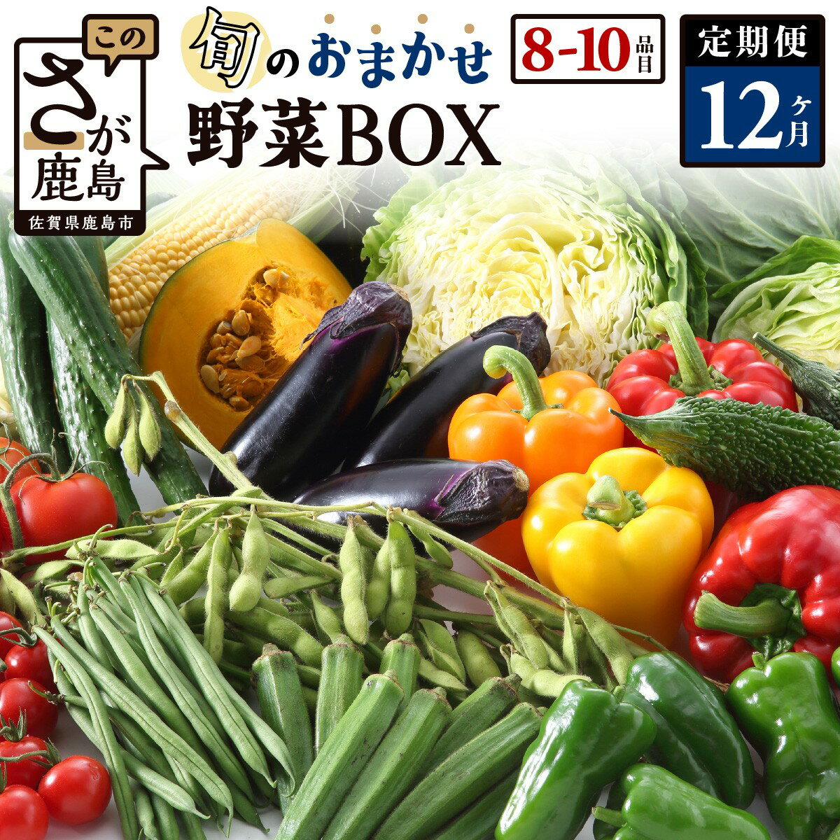 [定期便]野菜 新鮮 直送 セット お楽しみ 12回 大容量 8〜10品目 | ふるさと納税 野菜 定期便 やさい 定期 野菜 セット 旬 詰め合わせ 国産 佐賀県 鹿島市 ふるさと 人気 送料無料