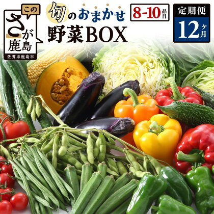 【定期便】 野菜 定期便 旬の おまかせ 野菜 BOX 12回 8~10品目 | ふるさと納税 野菜 定期便 定期 やさい 野菜 セット 詰め合わせ 旬 新鮮 産地直送 大容量 ふるさと 佐賀県 鹿島市 人気 送料無料 H-13